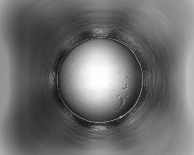 X0000093440649200710261041