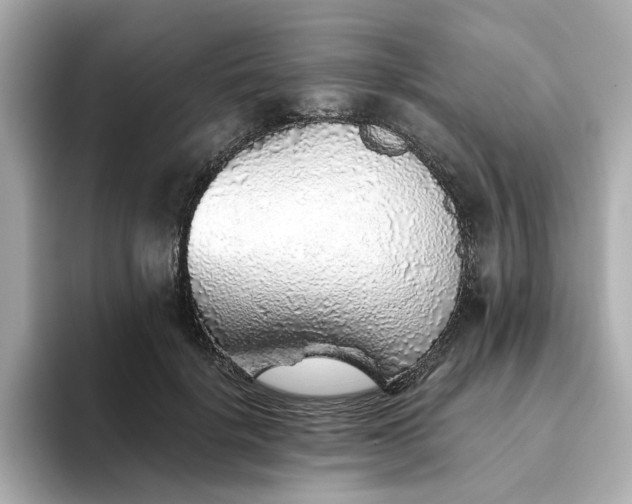 X0000093440652200710261041