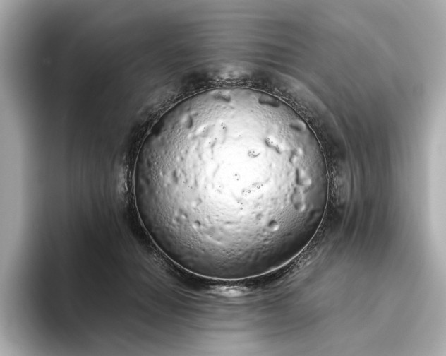 X0000093440654200710261041