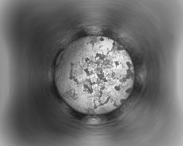 X0000093440658200710261041