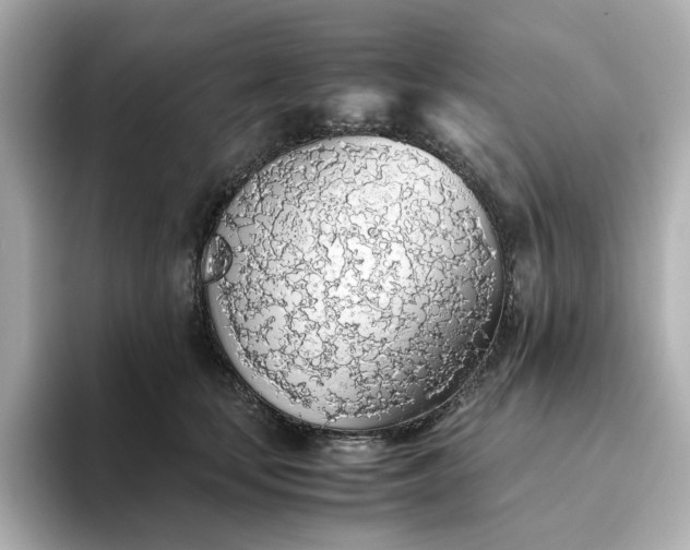 X0000093440659200710261041