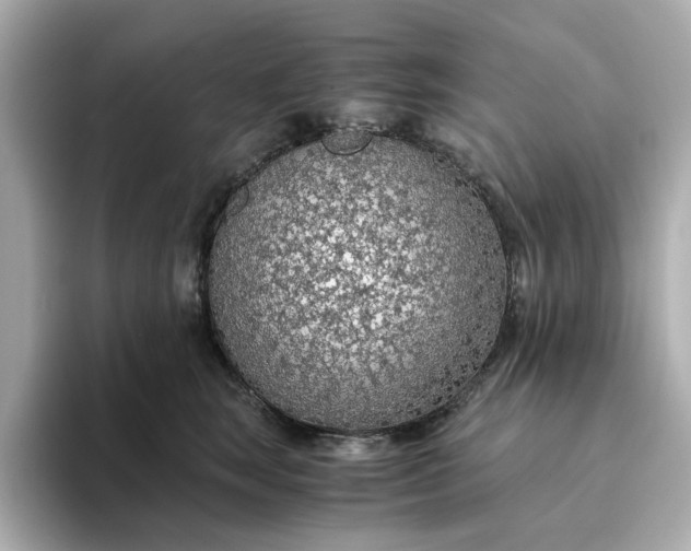 X0000093440663200710261041