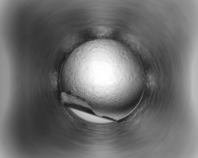 X0000093440664200710261041