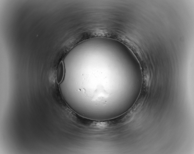 X0000093440665200710261041