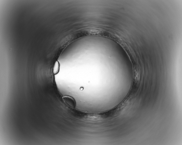 X0000093440666200710261041