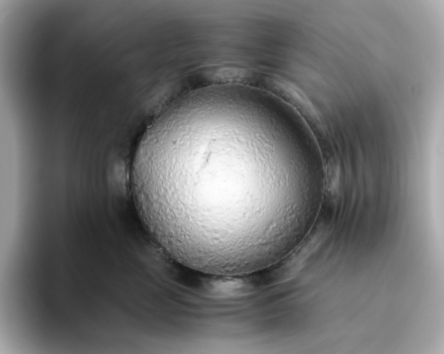 X0000093440669200710261041