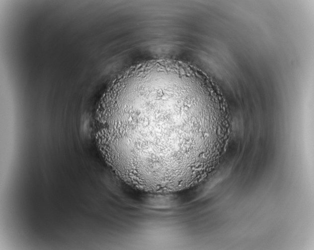 X0000093440671200710261041