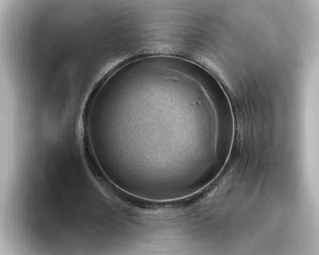 X0000093440674200710261041