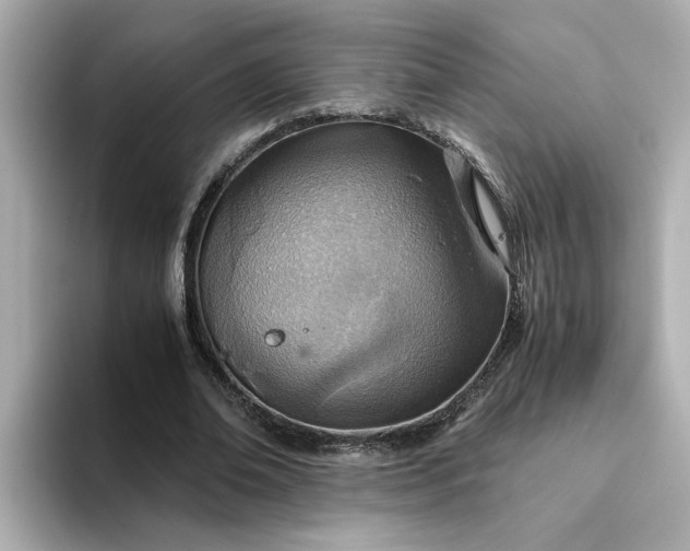 X0000093440678200710261041