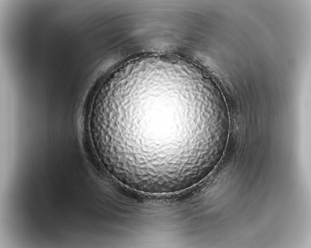 X0000093440679200710261041