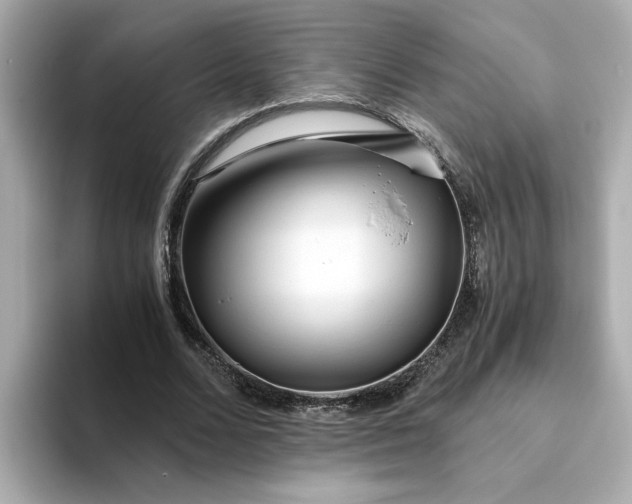 X0000093440680200710261040