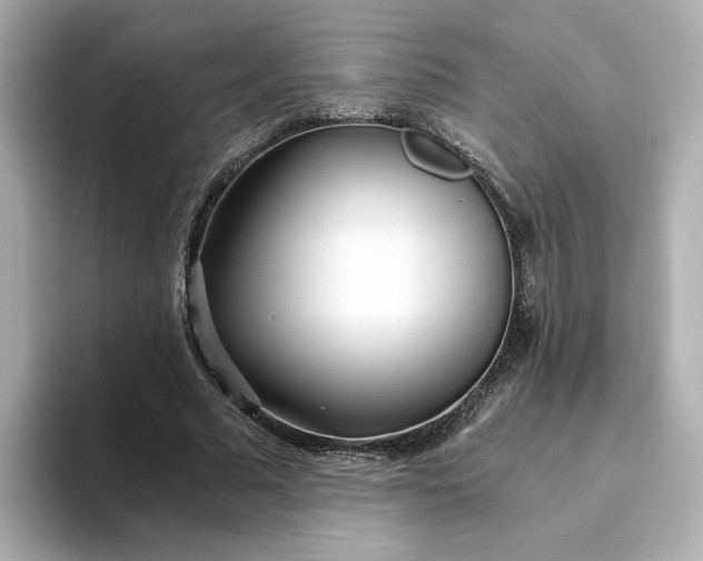 X0000093440681200710261040