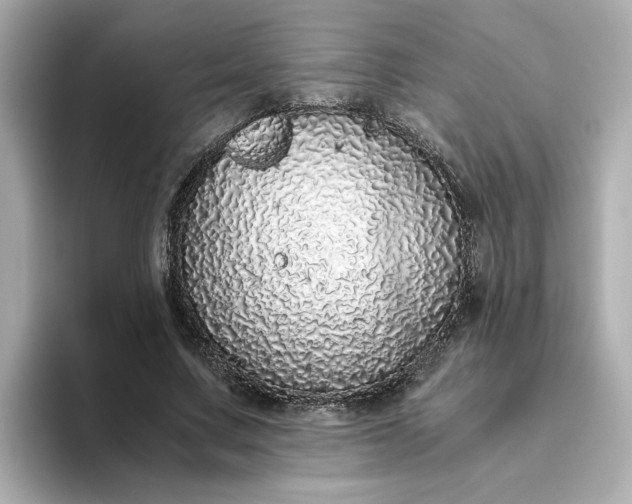 X0000093440683200710261040