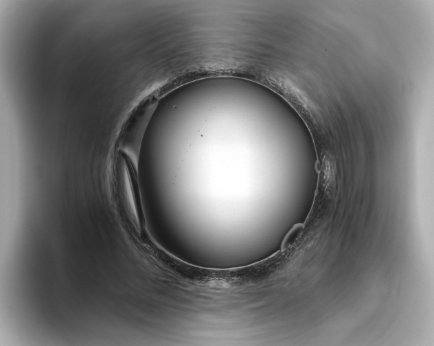X0000093440684200710261040