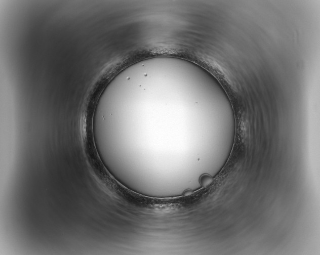 X0000093440686200710261040