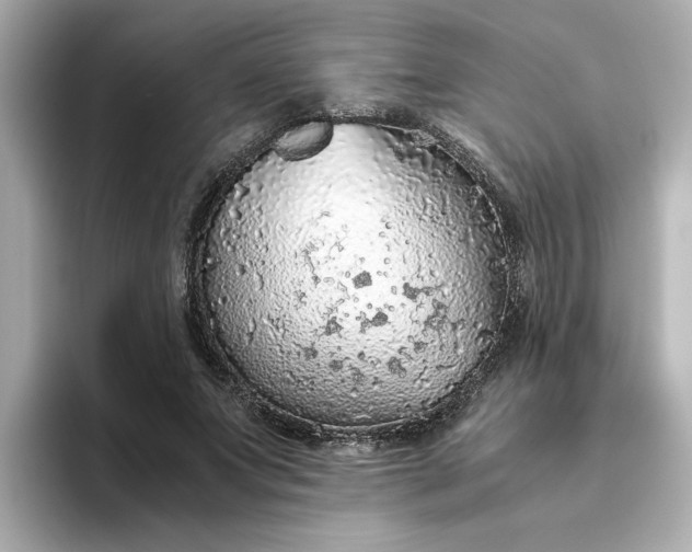 X0000093440687200710261040