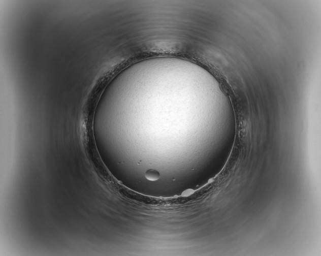 X0000093440688200710261040