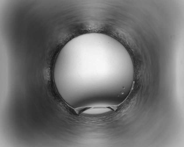 X0000093440689200710261040