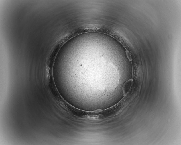 X0000093440692200710261040