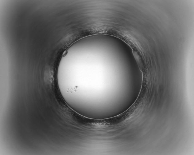 X0000093440693200710261040