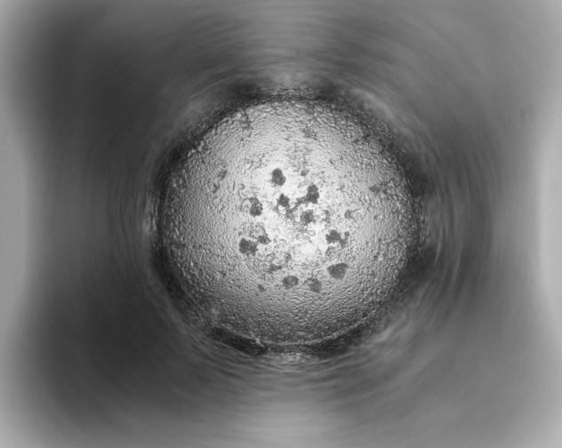 X0000093440695200710261040