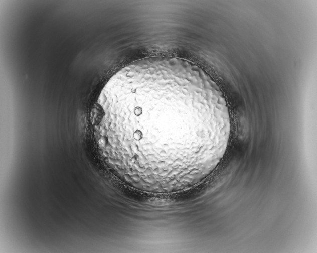 X0000093440699200710261040