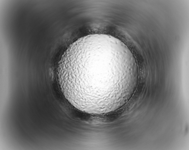 X0000093440703200710261040