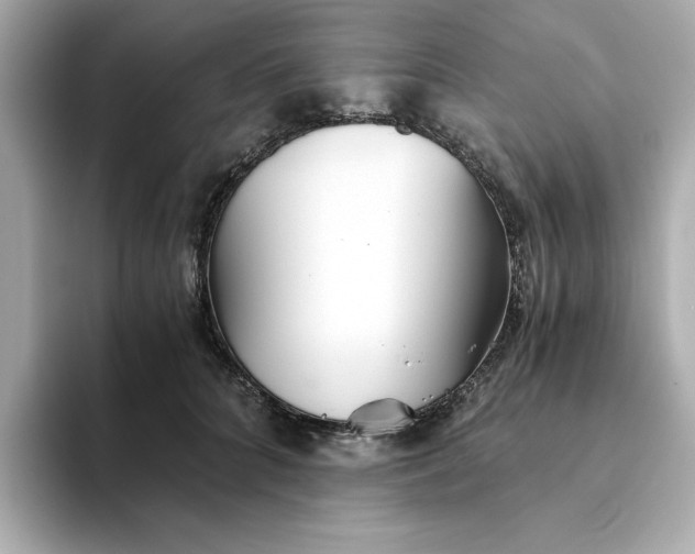 X0000093440704200710261040