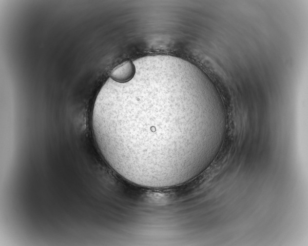 X0000093440706200710261040