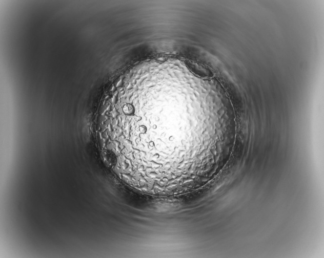 X0000093440707200710261040