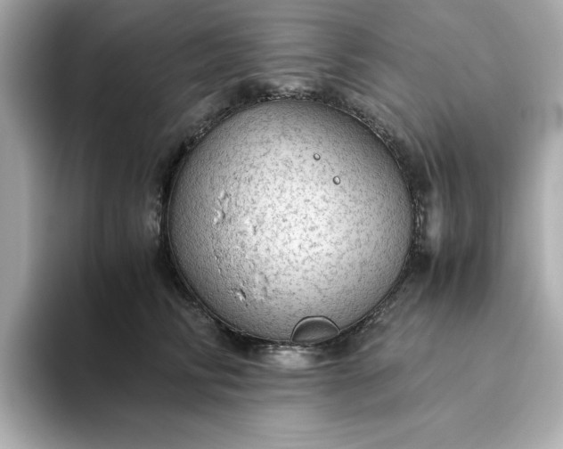 X0000093440710200710261040