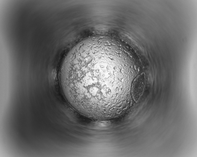 X0000093440711200710261040
