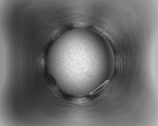 X0000093440716200710261040