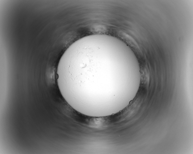 X0000093440717200710261040
