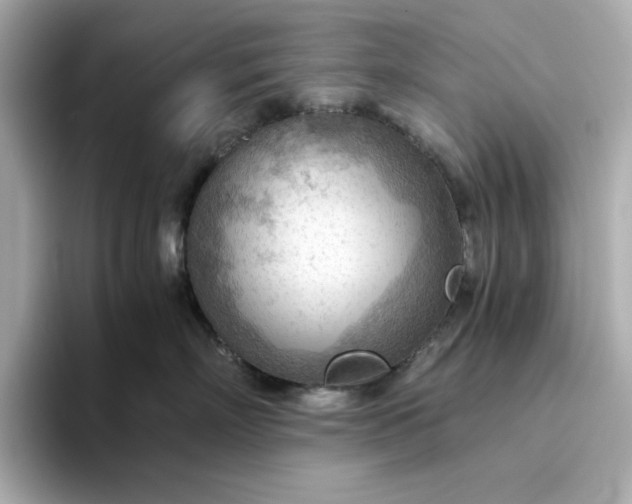X0000093440718200710261040