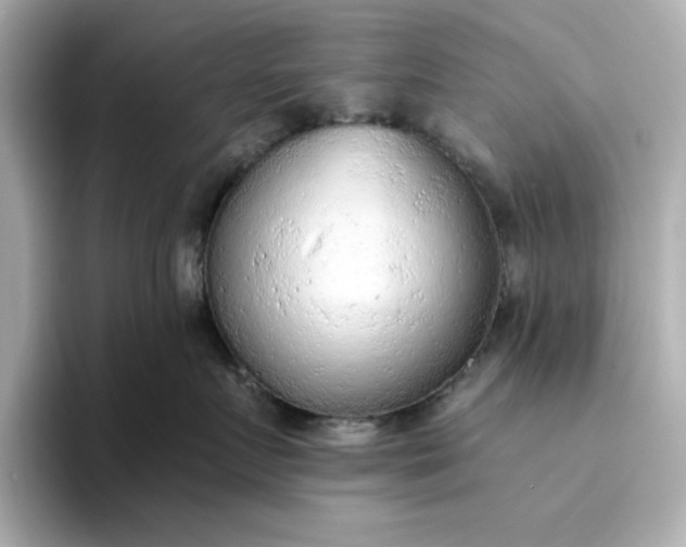 X0000093440719200710261040