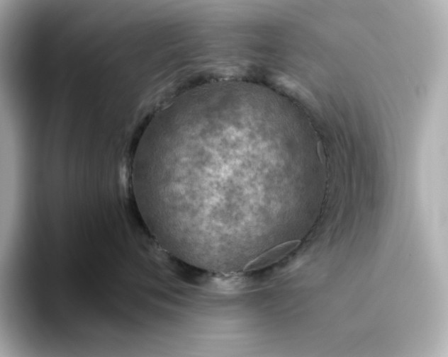 X0000093440720200710261040