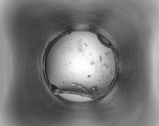 X0000093440721200710261039
