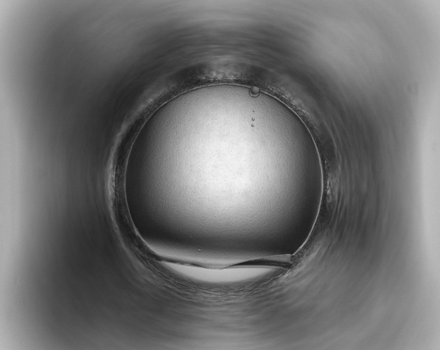 X0000093440722200710261039