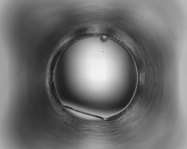 X0000093440724200710261039