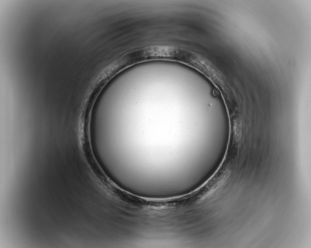 X0000093440725200710261039