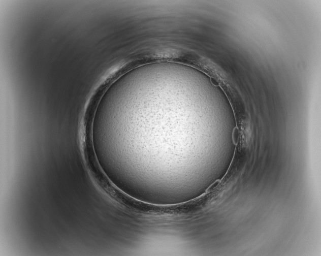 X0000093440726200710261039