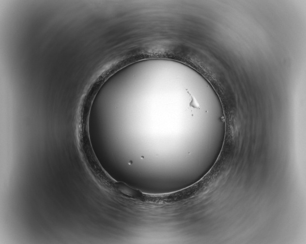 X0000093440728200710261039