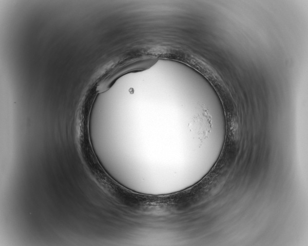 X0000093440732200710261039