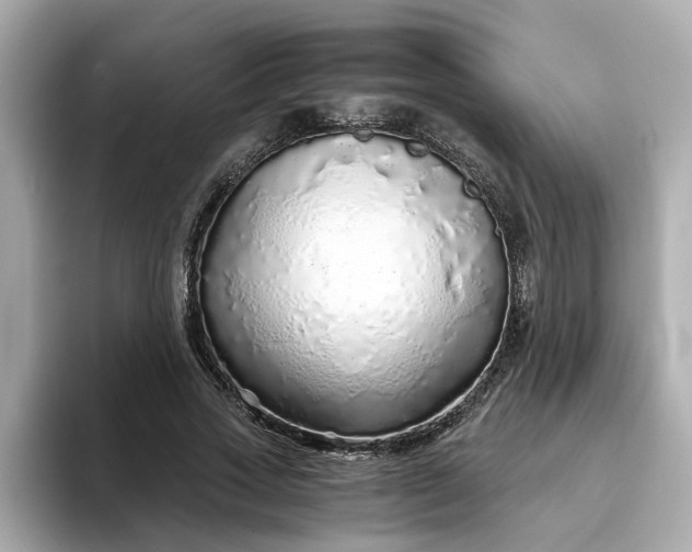 X0000093440733200710261039