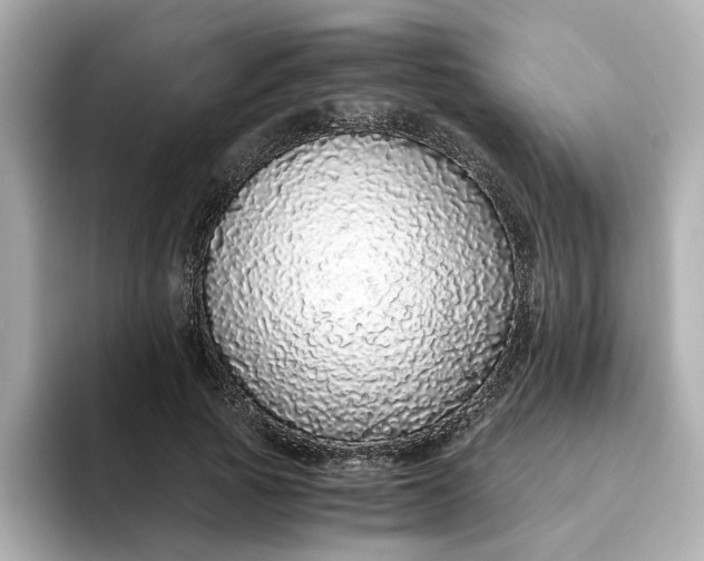 X0000093440737200710261040