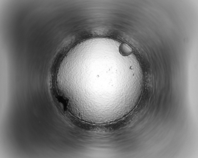 X0000093440738200710261040