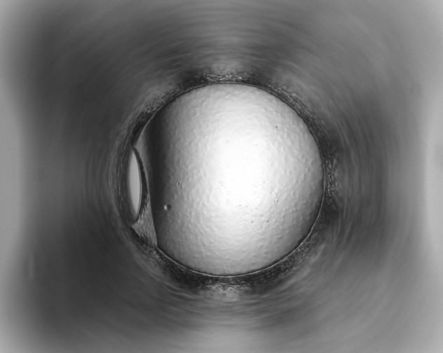 X0000093440742200710261040