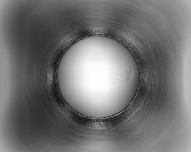 X0000093440744200710261040