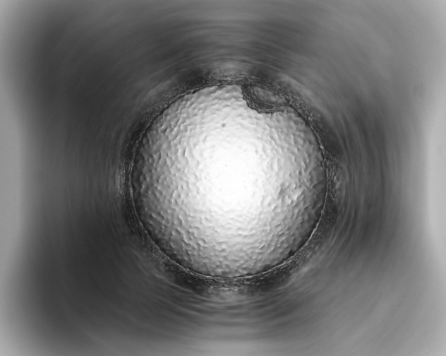 X0000093440745200710261040